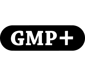 gmp for cosmetic | hytopbeauty